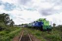 Movimentação de cargas pela Ferroeste cresce 34%, com novo recorde