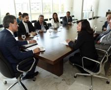 Governador Beto Richa acompanhado pelos deputados Luiz Claudio Romanelli e Alexandre Curi, recebe no gabinete do Palácio Iguaçu a prefeita de Dourados/MS, Délia Godoy Razuk, ex-deputado estadual / MS, Roberto Razuk, secretário de planejamento de Dourados/MS, José Elias Moreira, secretário de infraestrutura do Mato Grosso do Sul, Ednei Marcelo Miglioli, ex-senador, Silvio Name, diretora-geral da secretaria de infraestrutura e logística, Andréa Abrão e o diretor presidente da Ferroeste, João Vicente