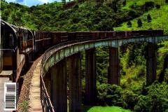 Diário de bordo 2