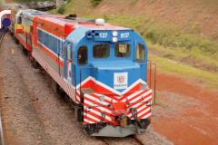 Ferroestge