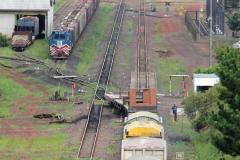 Fórum Futuro 10 diz que ferrovia é preferencial para o Paraná
