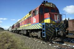 Ferroeste comemora 30 anos de criação 