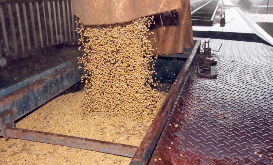 Ferroeste apresenta em janeiro o maior  faturamento dos últimos cinco anos Ferroeste apresenta em janeiro o maior faturamento dos últimos cinco anos