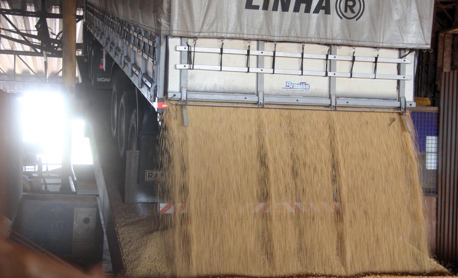 Caminhão descarregndo soja