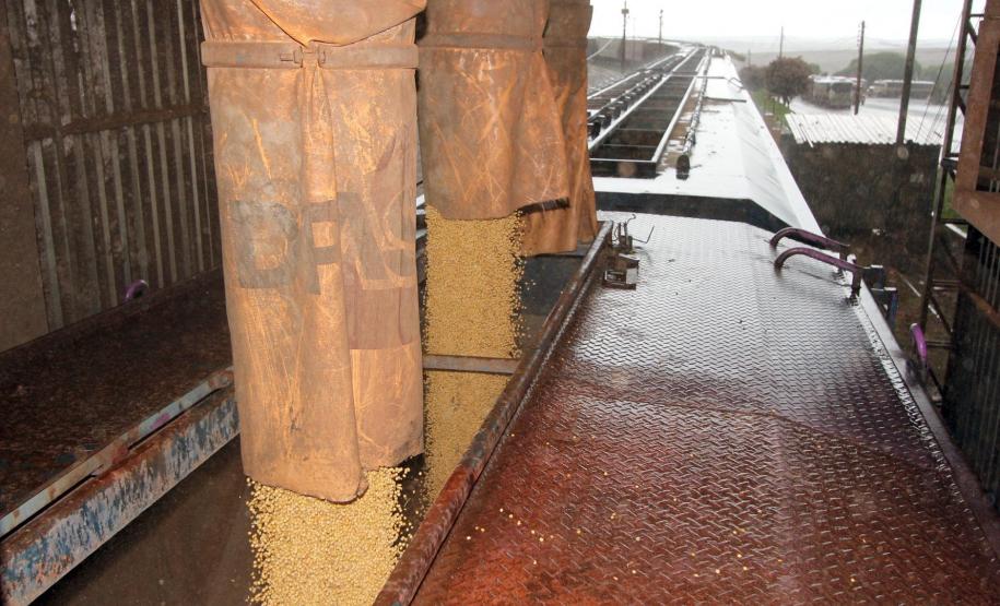 Setor produtivo quer incluir ferrovia em plano logístico